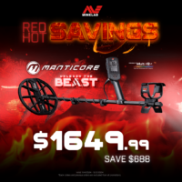 November sale for Minelab Metal Detectors