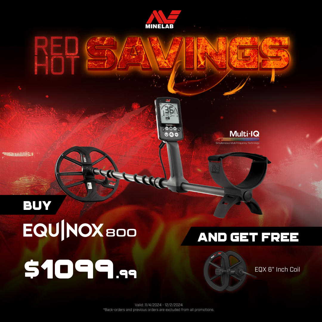 November sale for Minelab Metal Detectors